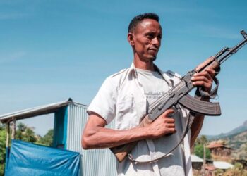 الدعم السريع يلقي القبض على مقاتلين من التغراي يساندون البرهان في سنجة