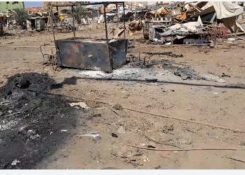 مليشيا البرهان وطيران الغزاة يرتكبان مجزرة بشعة بشرق النيل